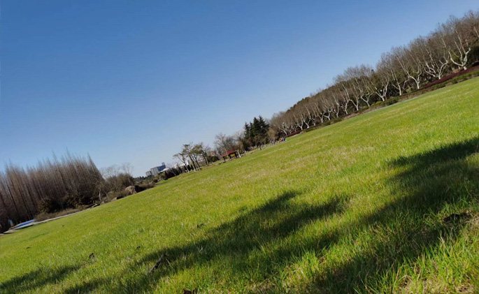 宜興旅游網(wǎng)站建設(shè)