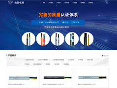 江蘇拓普電纜網(wǎng)站設(shè)計案例